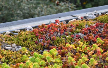 the cost of Crockham Heath green roof installation